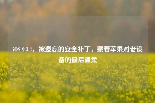 iOS 9.3.4，被遗忘的安全补丁，藏着苹果对老设备的最后温柔