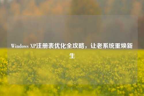 Windows XP注册表优化全攻略，让老系统重焕新生