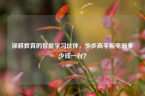 深耕教育的智能学习伙伴，步步高平板电脑多少钱一台？