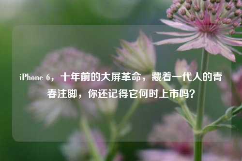 iPhone 6，十年前的大屏革命，藏着一代人的青春注脚，你还记得它何时上市吗？