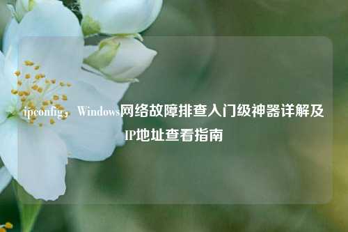 ipconfig,Windows网络故障排查入门级神器详解及IP地址查看指南