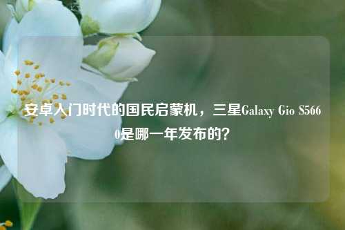 安卓入门时代的国民启蒙机,三星Galaxy Gio S5660是哪一年发布的?