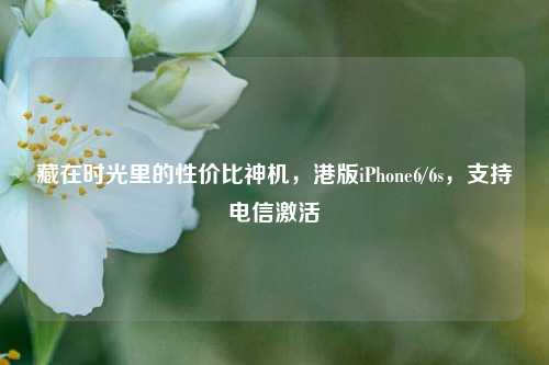 藏在时光里的性价比神机,港版iPhone6/6s,支持电信激活