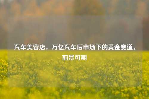 汽车美容店,万亿汽车后市场下的黄金赛道,前景可期
