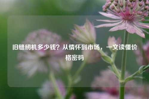 旧缝纫机多少钱？从情怀到市场，一文读懂价格密码