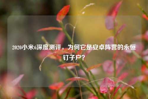 2020小米6深度测评,为何它是安卓阵营的永恒钉子户?