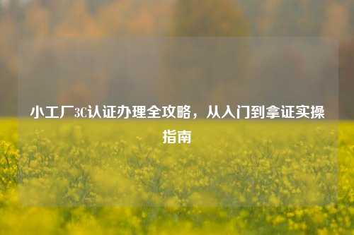小工厂3C认证办理全攻略,从入门到拿证实操指南