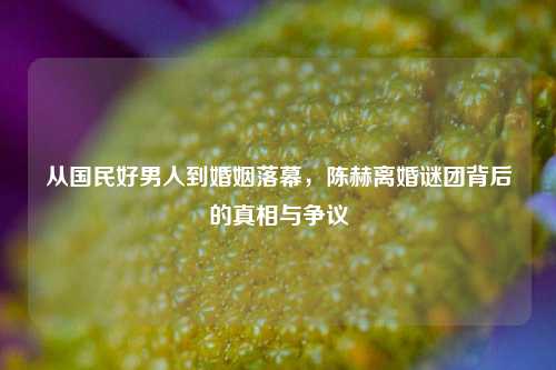 从国民好男人到婚姻落幕，陈赫离婚谜团背后的真相与争议