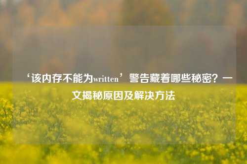 ‘该内存不能为written’警告藏着哪些秘密？一文揭秘原因及解决方法