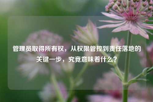 管理员取得所有权，从权限管控到责任落地的关键一步，究竟意味着什么？