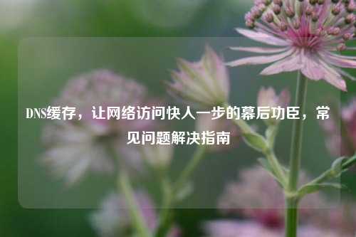 DNS缓存，让网络访问快人一步的幕后功臣，常见问题解决指南