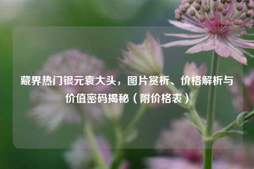 藏界热门银元袁大头,图片赏析、价格解析与价值密码揭秘(附价格表)