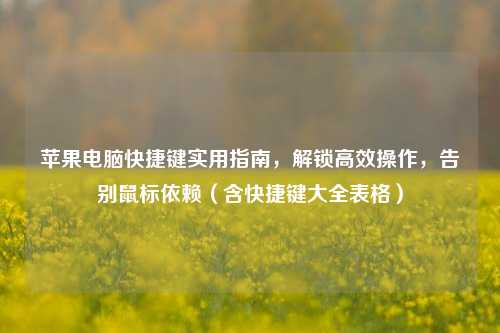 苹果电脑快捷键实用指南，解锁高效操作，告别鼠标依赖（含快捷键大全表格）