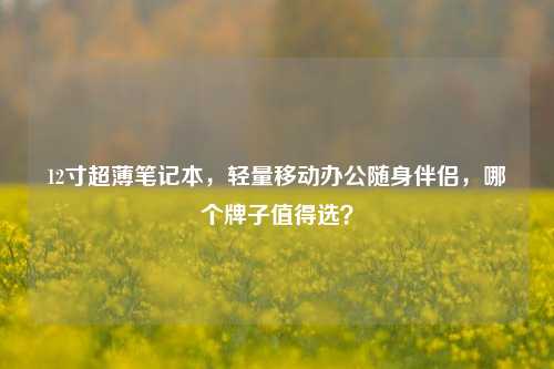 12寸超薄笔记本，轻量移动办公随身伴侣，哪个牌子值得选？