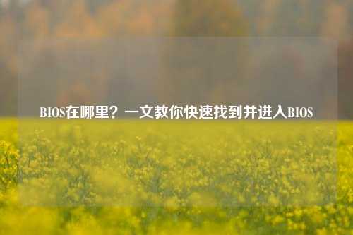 BIOS在哪里?一文教你快速找到并进入BIOS