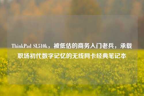 ThinkPad SL510k,被低估的商务入门老兵,承载职场初代数字记忆的无线网卡经典笔记本