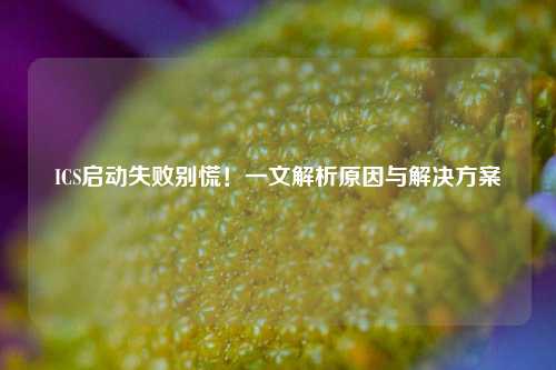 ICS启动失败别慌！一文解析原因与解决方案