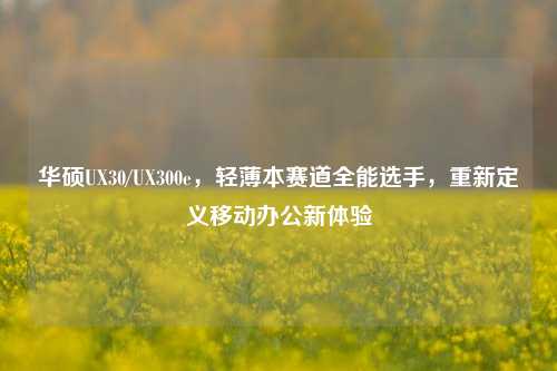 华硕UX30/UX300e，轻薄本赛道全能选手，重新定义移动办公新体验