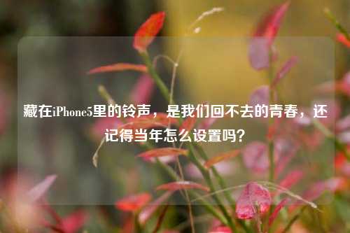 藏在iPhone5里的铃声，是我们回不去的青春，还记得当年怎么设置吗？