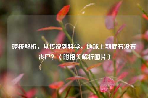 硬核解析，从传说到科学，地球上到底有没有丧尸？（附相关解析图片）