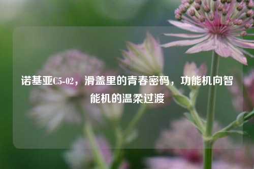 诺基亚C5-02,滑盖里的青春密码,功能机向智能机的温柔过渡
