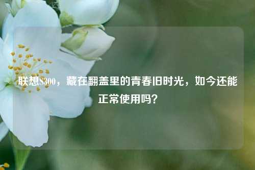 联想S300，藏在翻盖里的青春旧时光，如今还能正常使用吗？