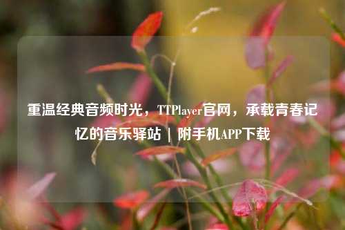 重温经典音频时光，TTPlayer官网，承载青春记忆的音乐驿站 | 附手机APP下载