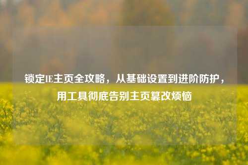 锁定IE主页全攻略,从基础设置到进阶防护,用工具彻底告别主页篡改烦恼