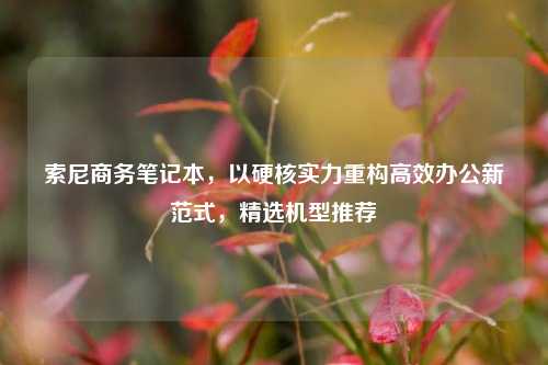 索尼商务笔记本，以硬核实力重构高效办公新范式，精选机型推荐