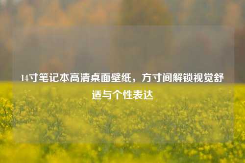 14寸笔记本高清桌面壁纸，方寸间解锁视觉舒适与个性表达