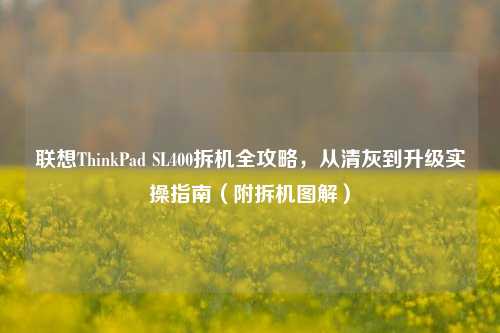 联想ThinkPad SL400拆机全攻略,从清灰到升级实操指南(附拆机图解)