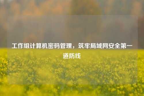 工作组计算机密码管理,筑牢局域网安全第一道防线