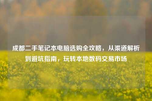 成都二手笔记本电脑选购全攻略,从渠道解析到避坑指南,玩转本地数码交易市场