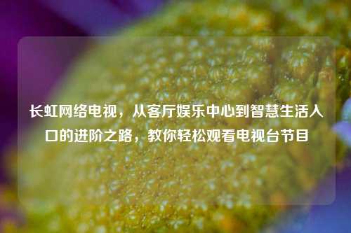 长虹网络电视,从客厅娱乐中心到智慧生活入口的进阶之路,教你轻松观看电视台节目