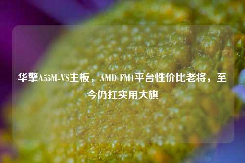 华擎A55M-VS主板,AMD FM1平台性价比老将,至今仍扛实用大旗