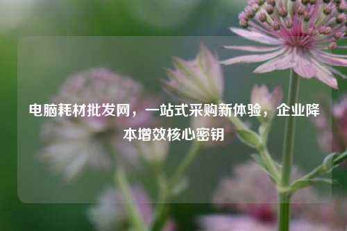 电脑耗材批发网，一站式采购新体验，企业降本增效核心密钥