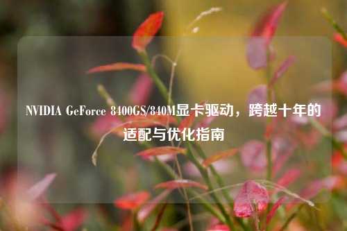 NVIDIA GeForce 8400GS/840M显卡驱动,跨越十年的适配与优化指南