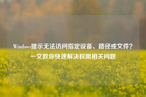 Windows提示无法访问指定设备、路径或文件？一文教你快速解决权限相关问题