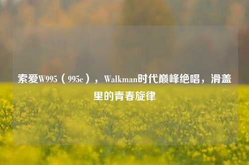 索爱W995（995c），Walkman时代巅峰绝唱，滑盖里的青春旋律