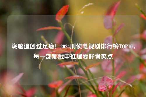 烧脑追凶过足瘾！2024刑侦电视剧排行榜TOP10，每一部都戳中推理爱好者爽点