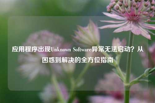 应用程序出现Unknown Software异常无法启动?从困惑到解决的全方位指南