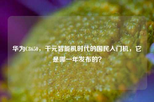华为C8650，千元智能机时代的国民入门机，它是哪一年发布的？