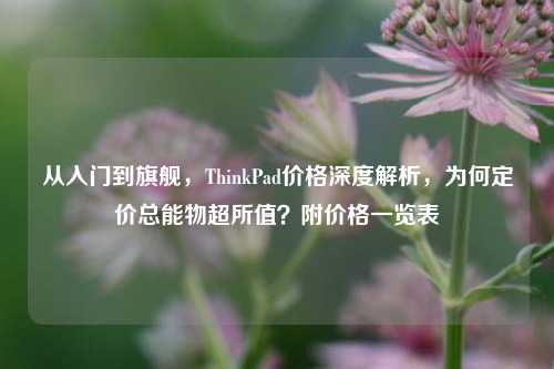 从入门到旗舰，ThinkPad价格深度解析，为何定价总能物超所值？附价格一览表