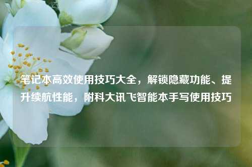 笔记本高效使用技巧大全,解锁隐藏功能、提升续航性能,附科大讯飞智能本手写使用技巧