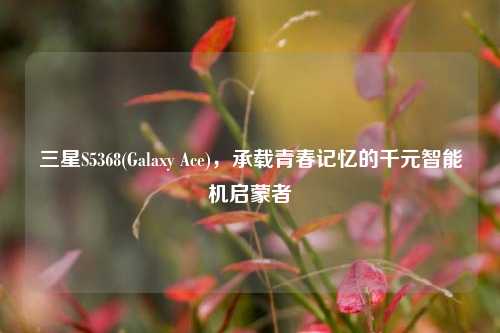 三星S5368(Galaxy Ace),承载青春记忆的千元智能机启蒙者