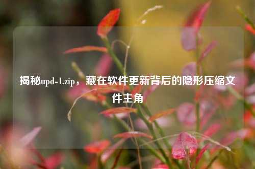 揭秘upd-1.zip,藏在软件更新背后的隐形压缩文件主角