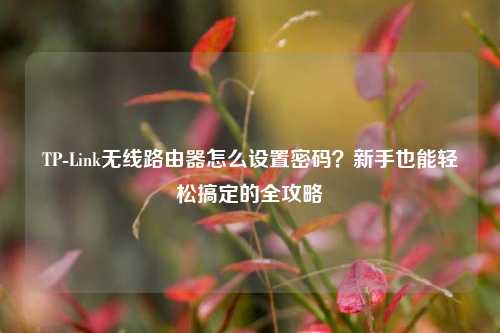 TP-Link无线路由器怎么设置密码?新手也能轻松搞定的全攻略