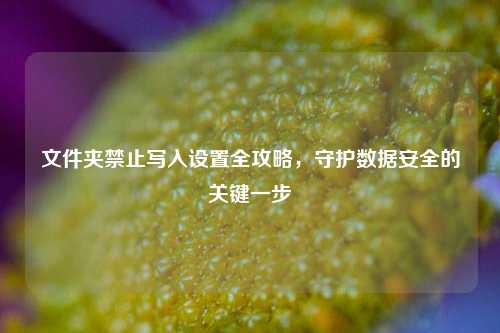 文件夹禁止写入设置全攻略，守护数据安全的关键一步