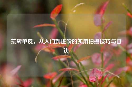 玩转单反，从入门到进阶的实用拍摄技巧与口诀