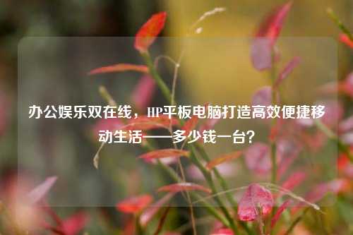 办公娱乐双在线，HP平板电脑打造高效便捷移动生活——多少钱一台？